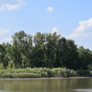 DSC 0697