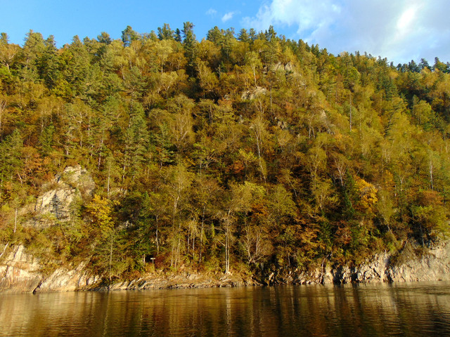 DSC06459.jpg