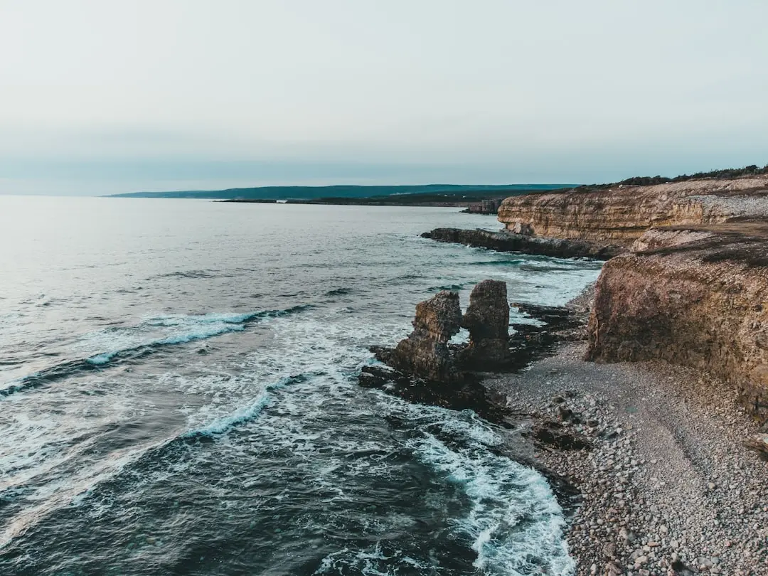 The Ultimate Guide to Exploring La Jolla’s Coastal Charm