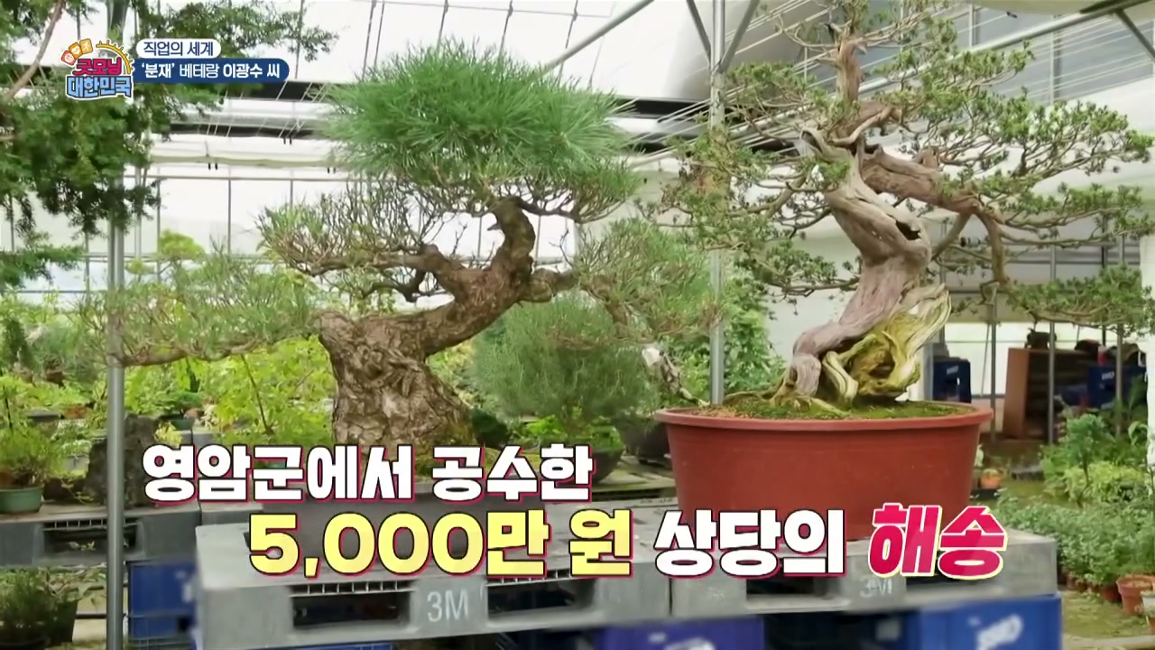굿모닝대한민국 분재 베테랑 이광수 추가 캡처 3