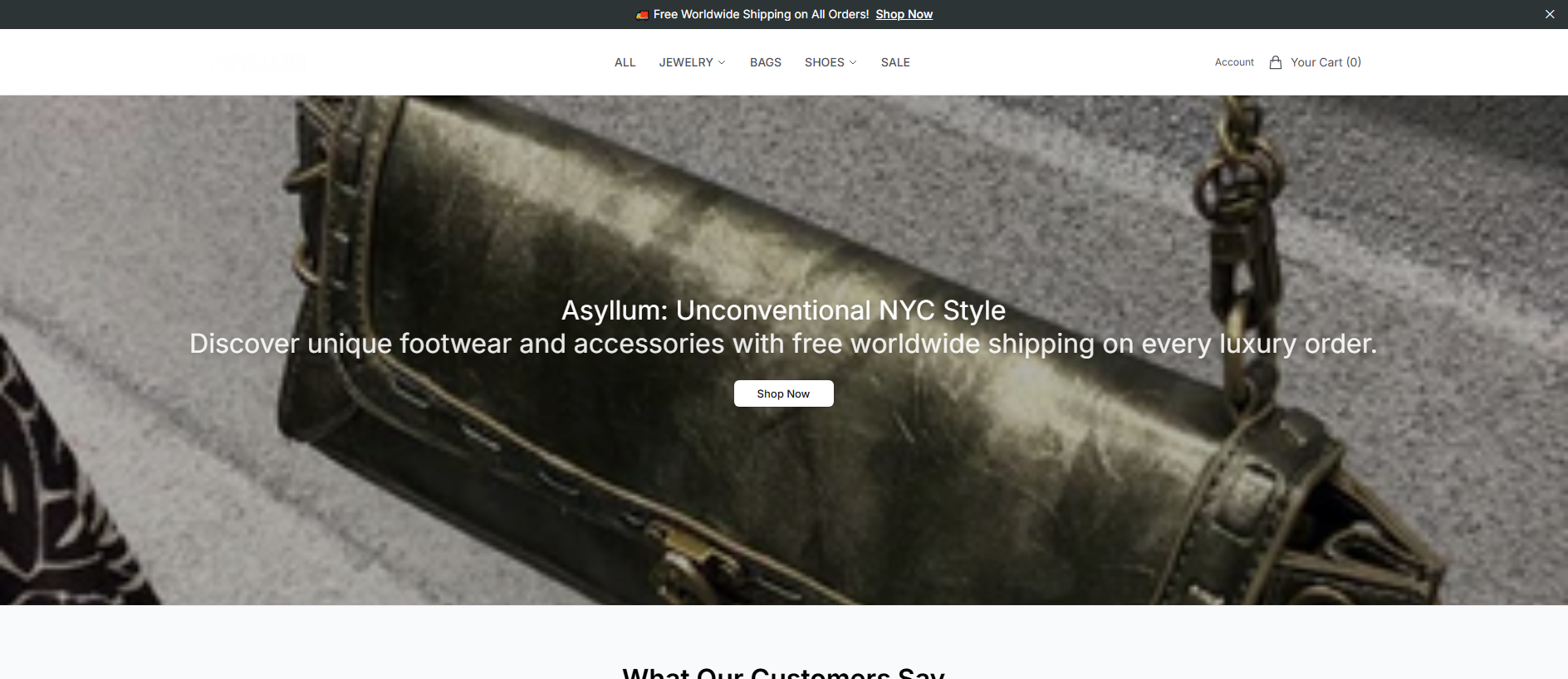 Stored capture of asyllumstore.shop