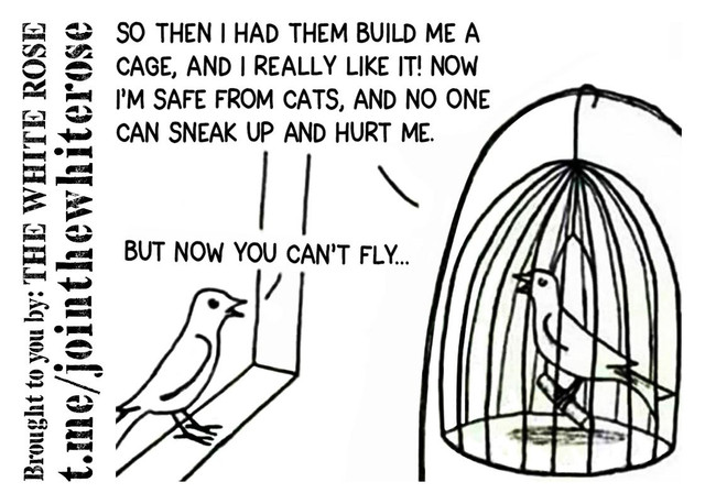 Bird-In-Cage