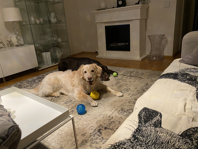 06-E9-BB7-E-0-BC1-49-E3-A8-A7-9-CE5-AD6-