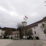 IMG-9953