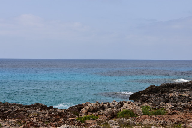 DSC-0004