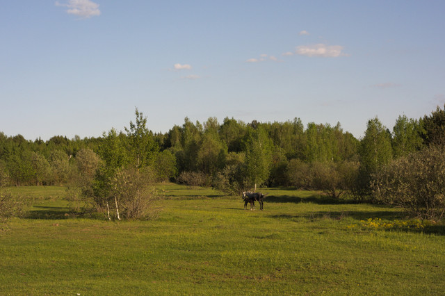 DSC3486.jpg