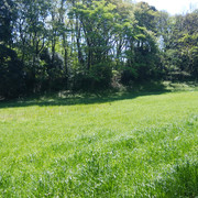 DSC-0024