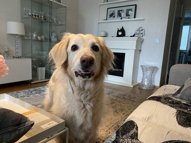 BCB782-E3-E033-4-AA0-B8-CF-73470-F341-F8