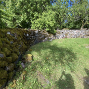 IMG-1535