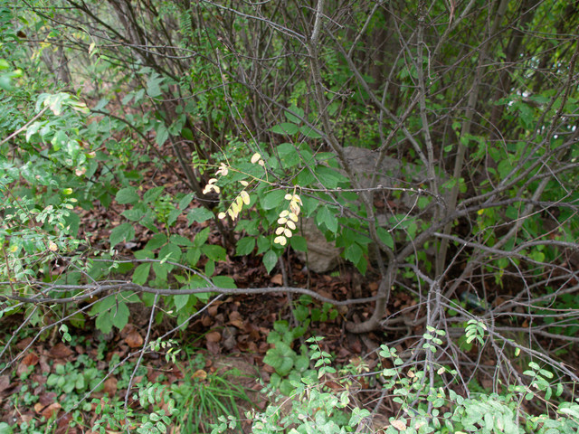 P1013341