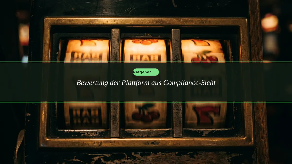 Bewertung der Plattform aus Compliance-Sicht