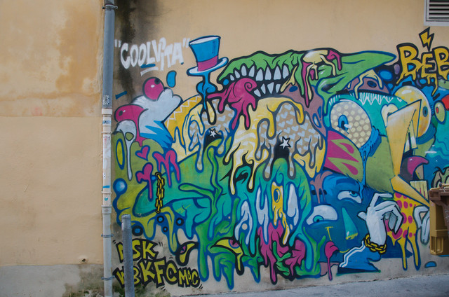 DSC-6663