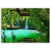 701697-Natureza