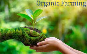 organicfarming