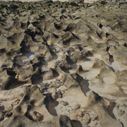 DSC01281