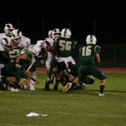 IMG-6648