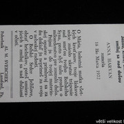 IMG-6975
