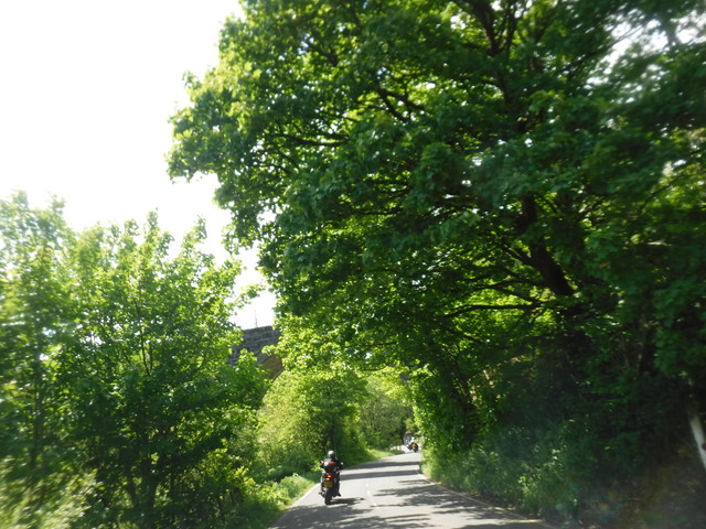 DSCF7949.jpg