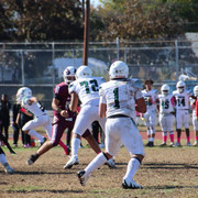 IMG-4329