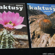 IMG-3311