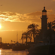 IMG-3084