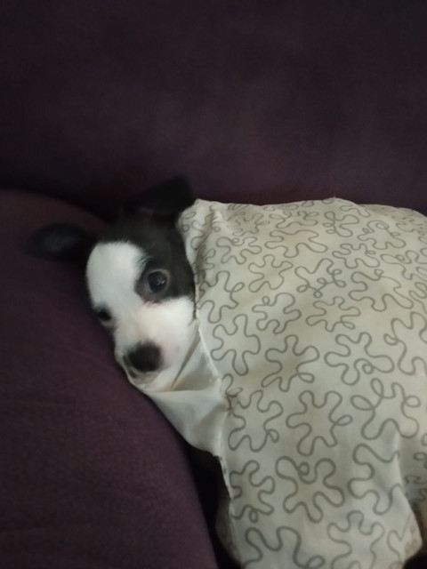 IMG-20211102-WA0004