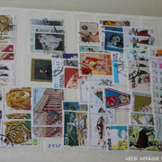 IMG-3505