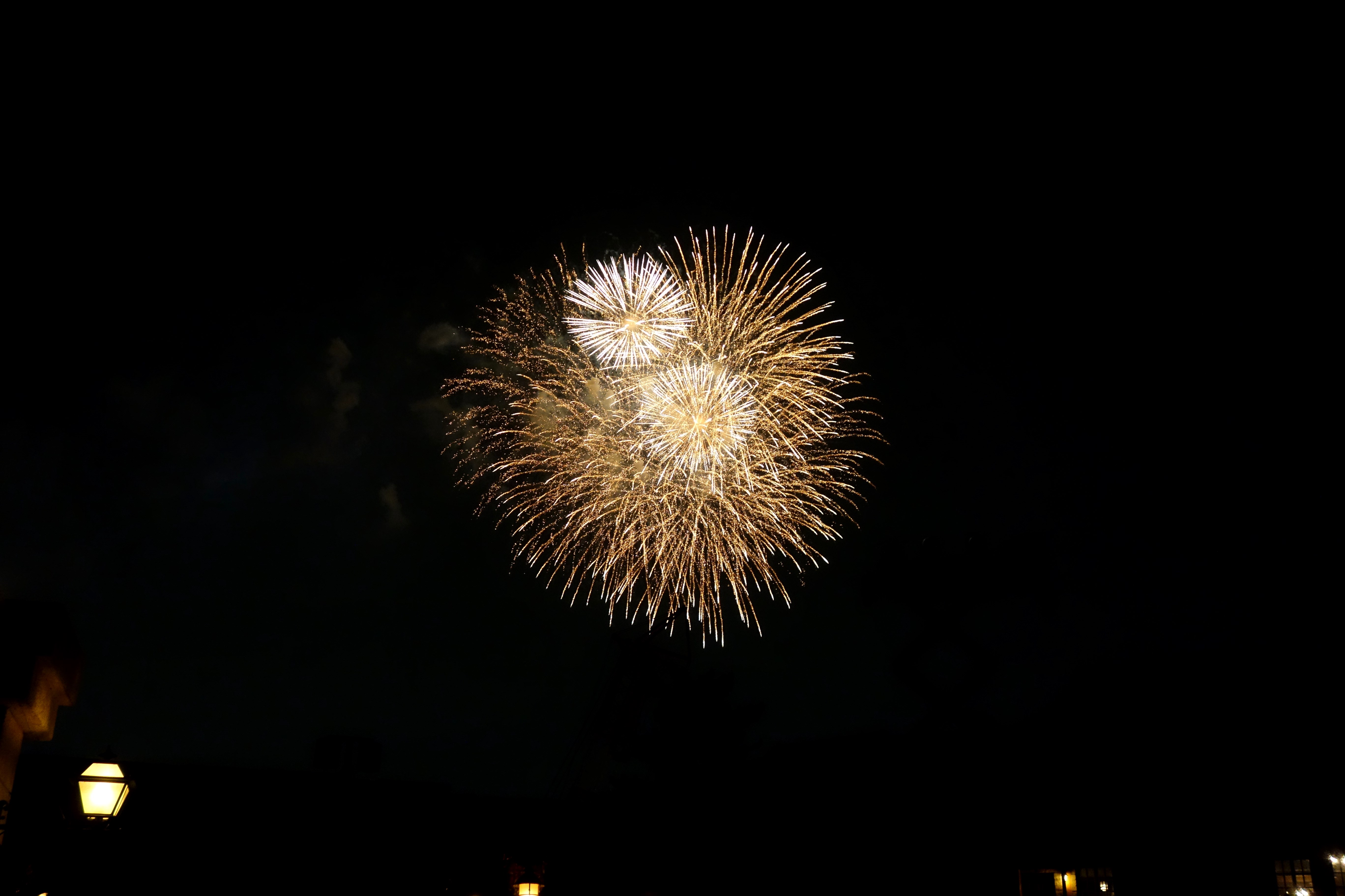 DSC02031
