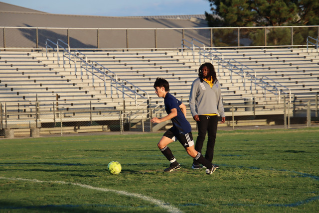 IMG-0228.jpg