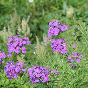 DSC5510