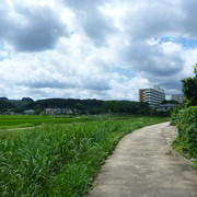 P1320508