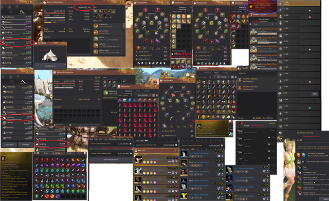 BDO-ACCOUNT