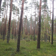 IMG-9658