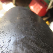 IMG-7544