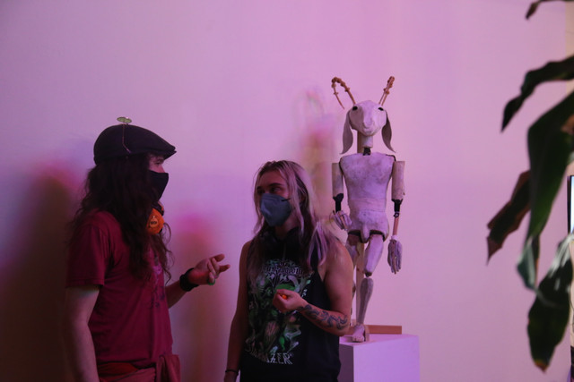 IMG-8429