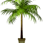 AGz5039r-Ca6-R-1