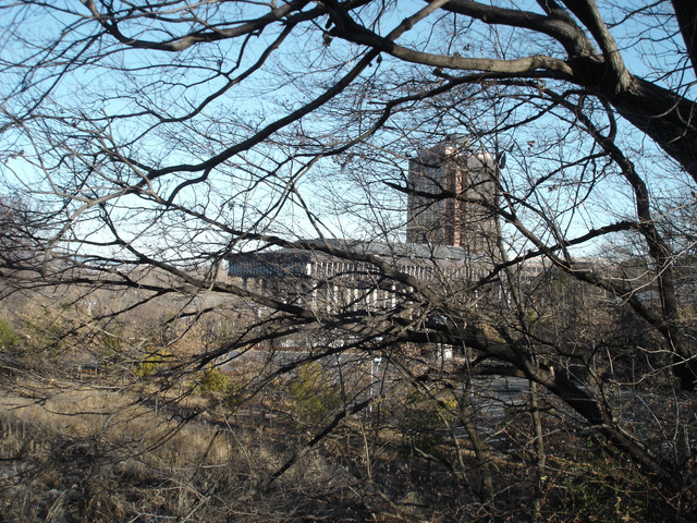 2012-01-06-129