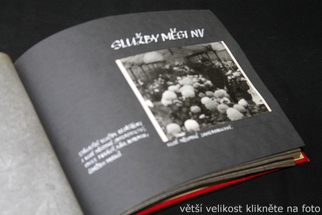 IMG-7588.jpg