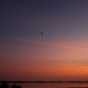 IMG-2886