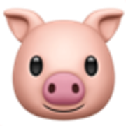 pig-face-1f437