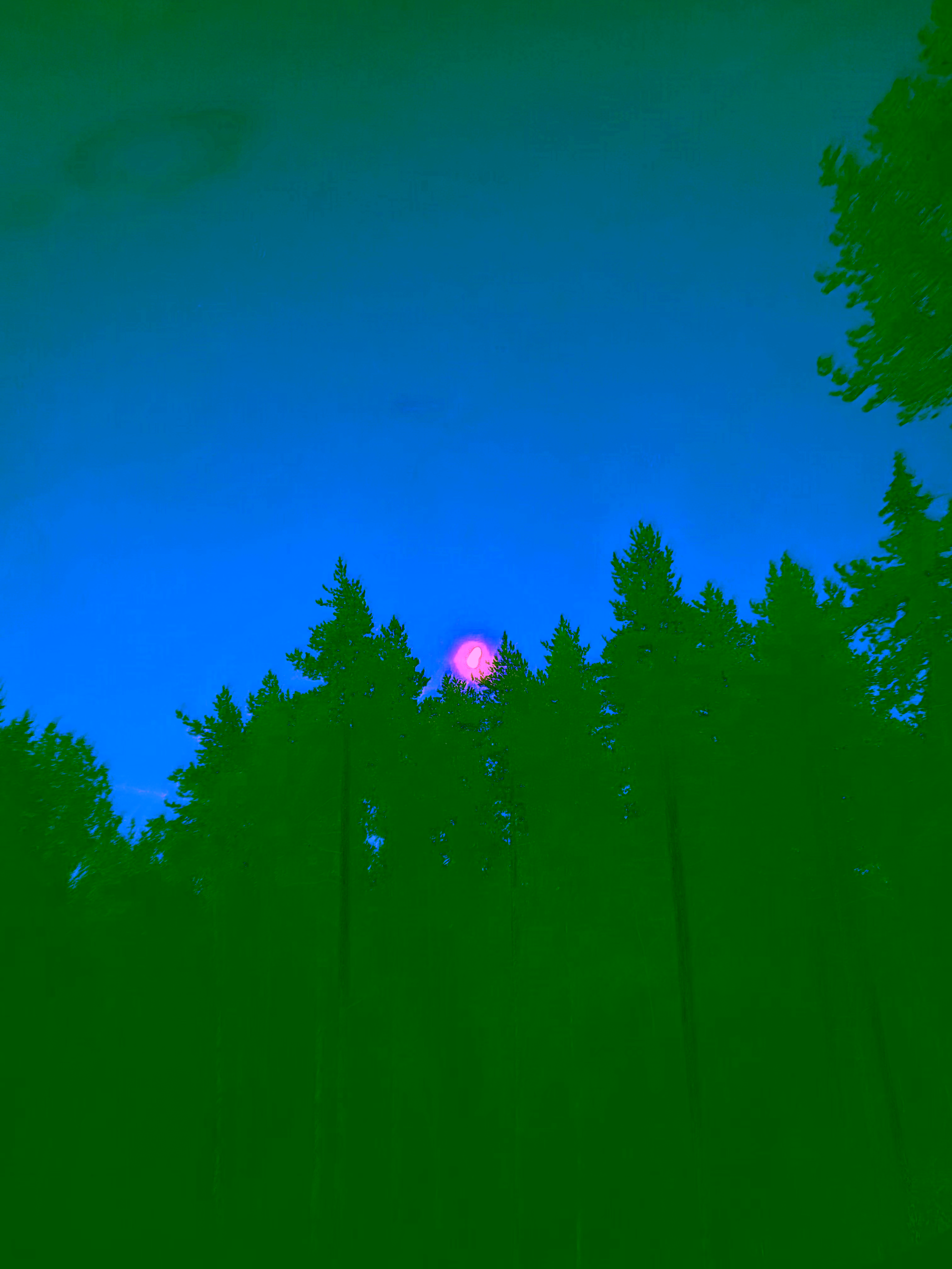 IMG-1100.avif