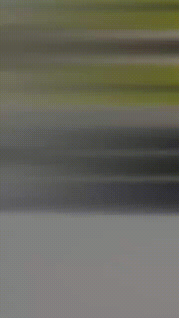 Whats-App-Video-2025-11-10-at-21-58-26