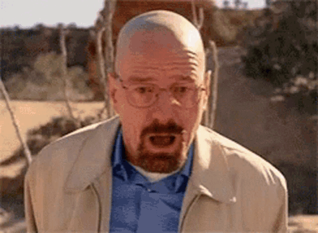 mp4.gif