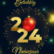 4.gif
