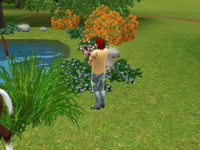 Screenshot-58