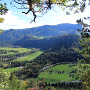 IMG-0137
