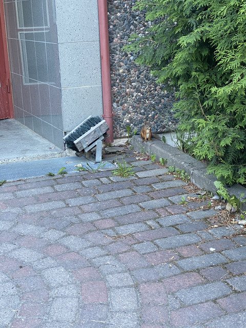 EFFEAE20-3-F53-47-F0-89-B5-3878-F6754-CD