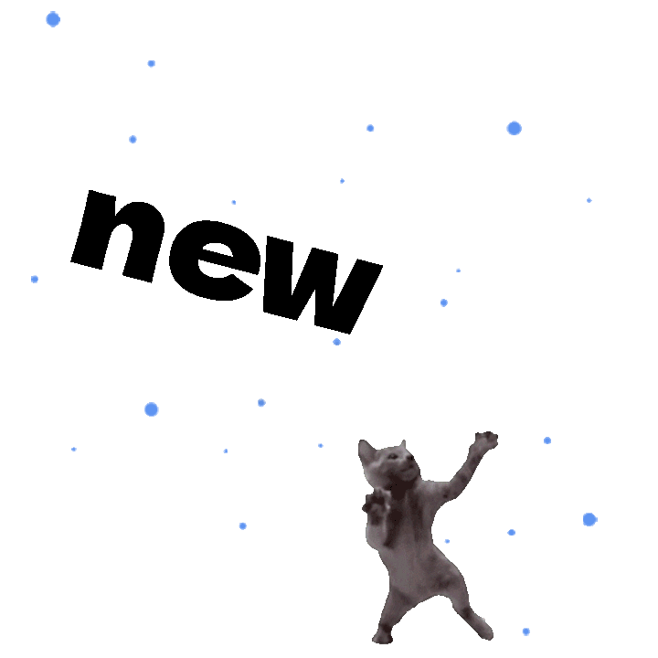 2d5dc1e977084a379fe6caa534e998e7