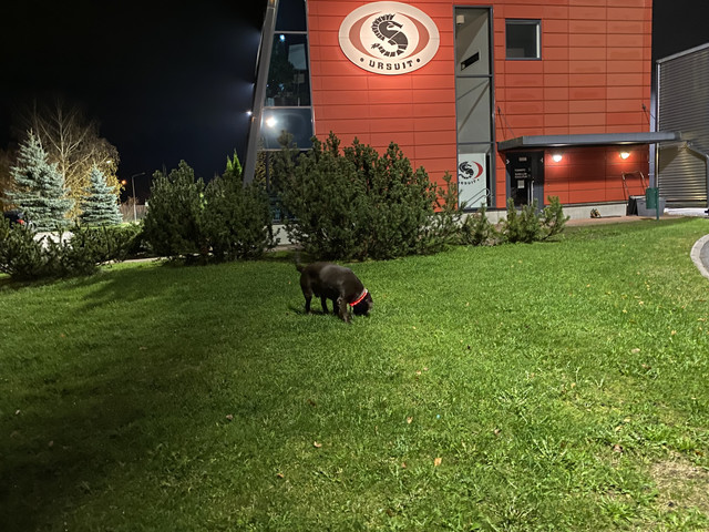 A6-A4-B252-3910-4-C80-A78-B-6342-F9-B4-B