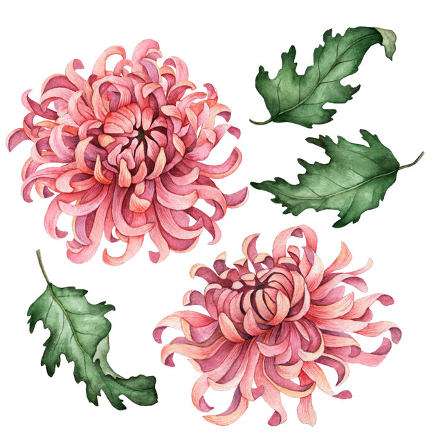 shutterstock 1271911102.jpg